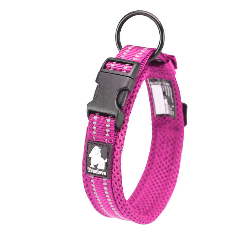 Teddy Pet Products
