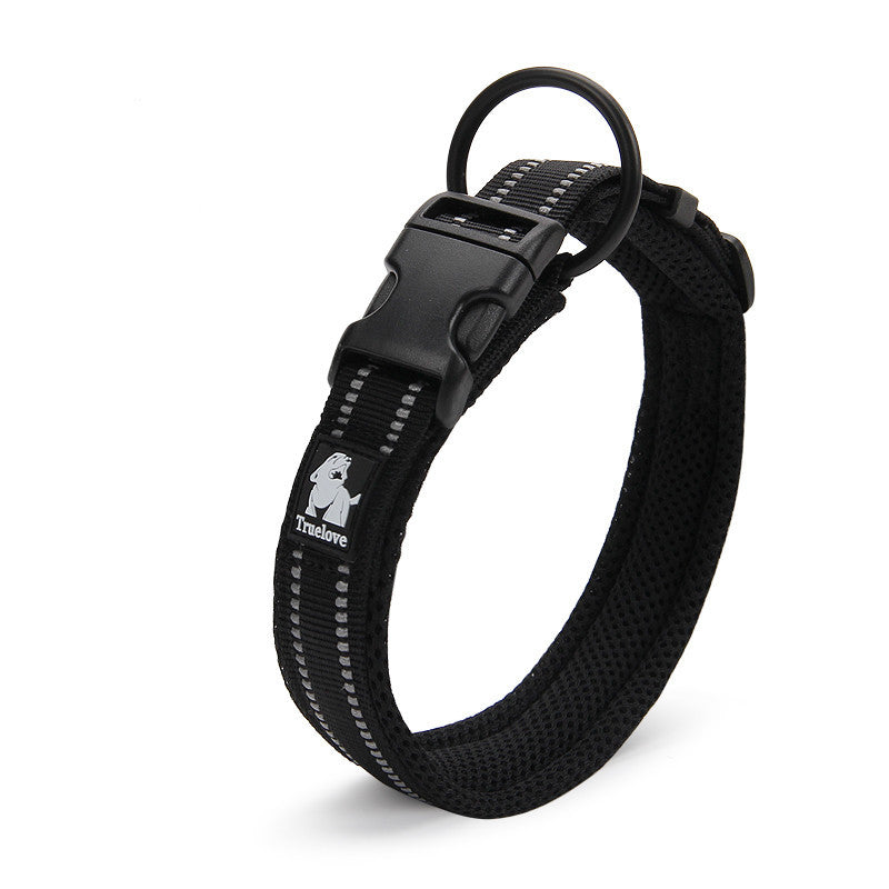 Teddy Pet Products