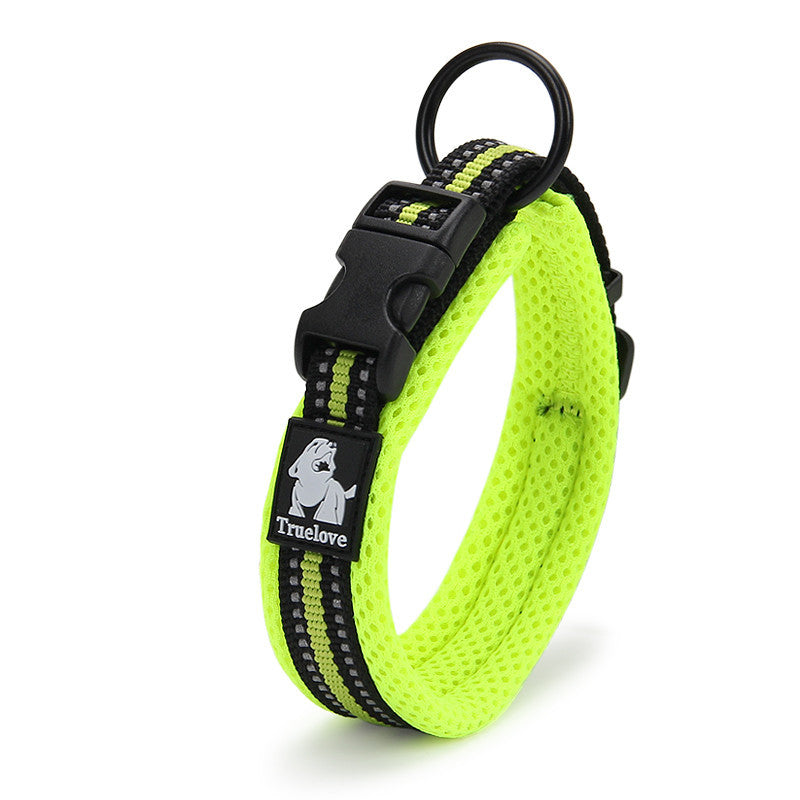 Teddy Pet Products