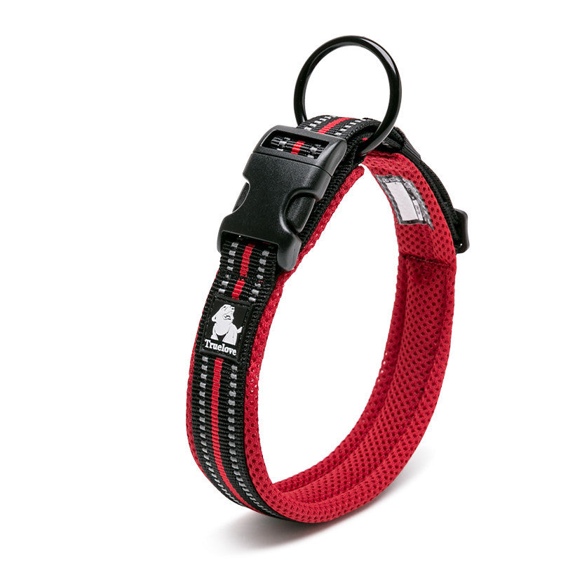 Teddy Pet Products