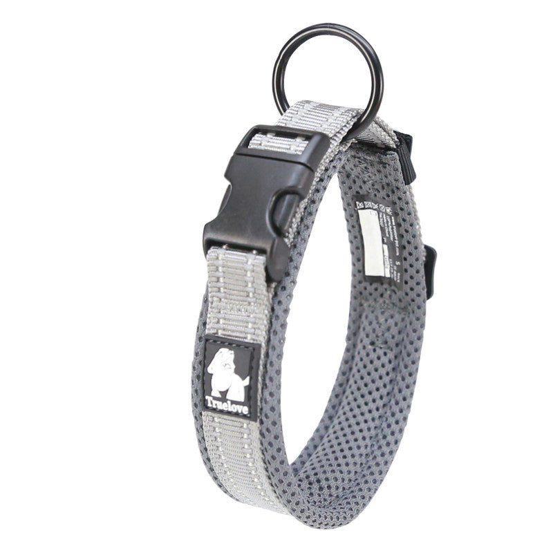 Teddy Pet Products