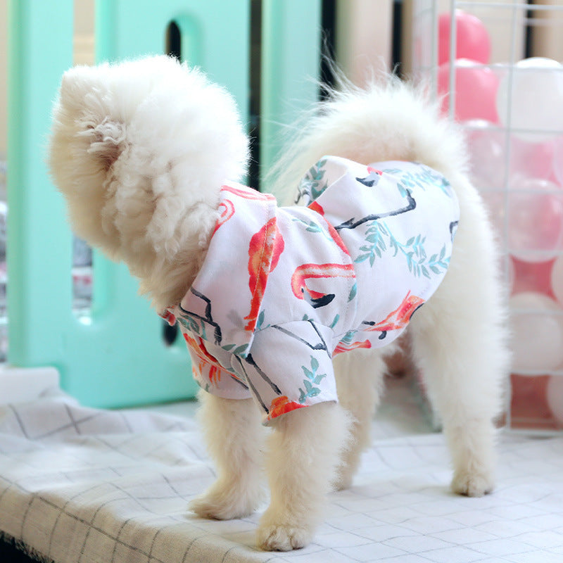 bear shirt