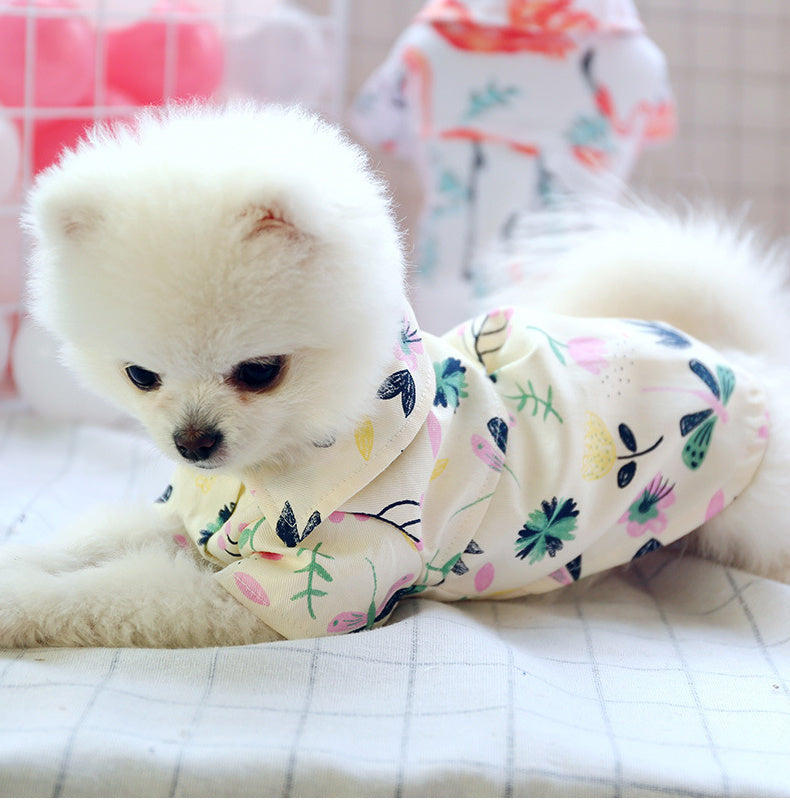bear shirt