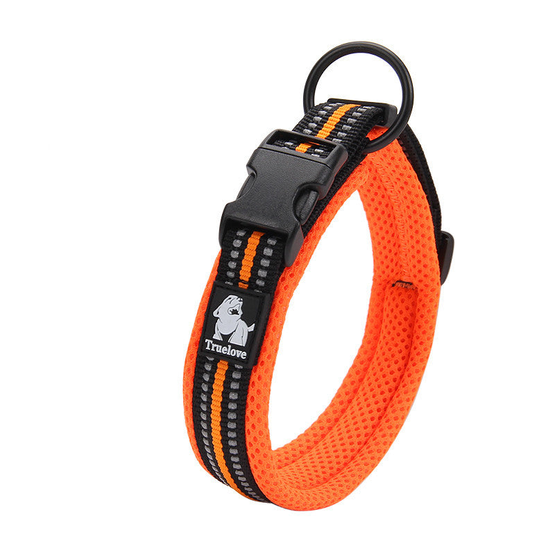 Teddy Pet Products