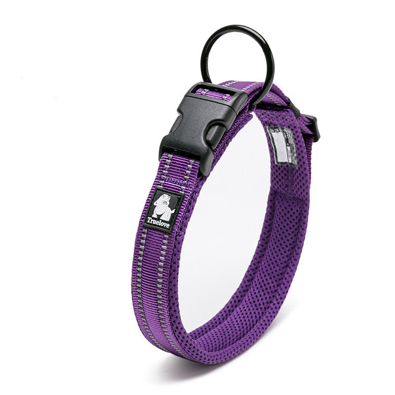 Teddy Pet Products