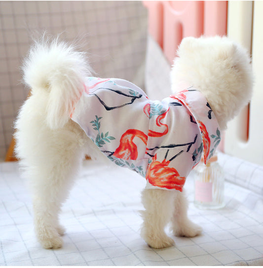 bear shirt
