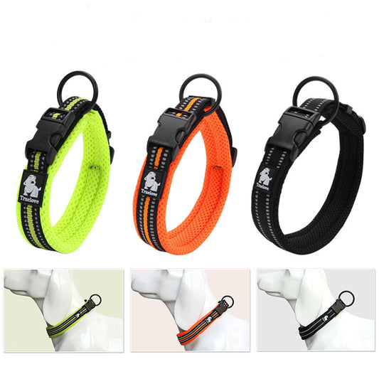 Teddy Pet Products
