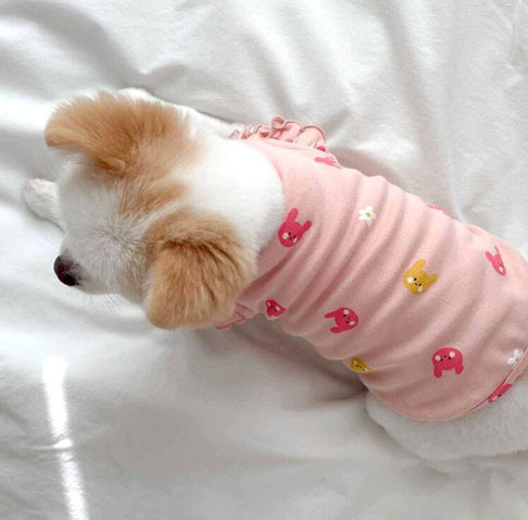 Cat Apparel